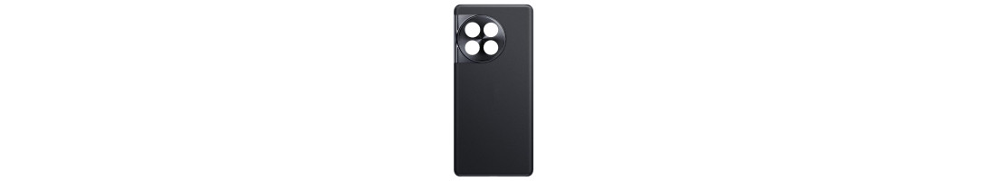 BACK GLASS